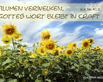 Gottes Wort ...Gottes Wort bleibt in Kraft... Nach Jesaja 40,8