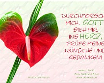 Durchforsche mich Durchforsche mich Gott... Psalm 139,23