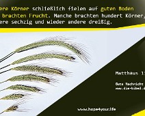 Frucht Andere Körner fielen schließlich auf guten Boden... Matthäus 13,8