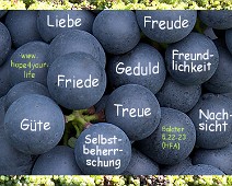 Frucht Frucht des Heiligen Geistes... Galater 5,22-23