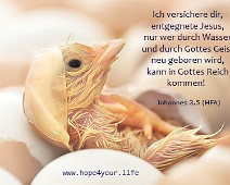 Neugeboren ...Wer durch Wasser und Gottes Geist... Johannes 3,5