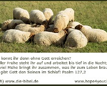 Erfolg Was könnt ihr denn ohne Gott erreichen... Psalm 127,2