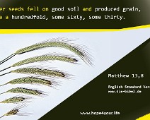 Seeds Other seeds fell on good soil... Matthew 13,8