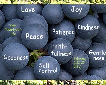 Fruit Fruit of the holy ghost... Galatians 5,22-23