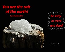 Salt You are the salt... From Matthew 5,13